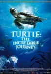 Turtle: The Incredible Journey