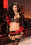 The Victoria's Secret Fashion Show 2011